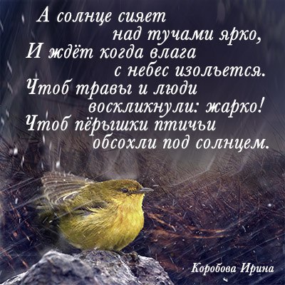 poem image